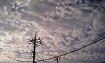 0610152.JPG