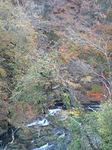 061104_1445~0001.jpg